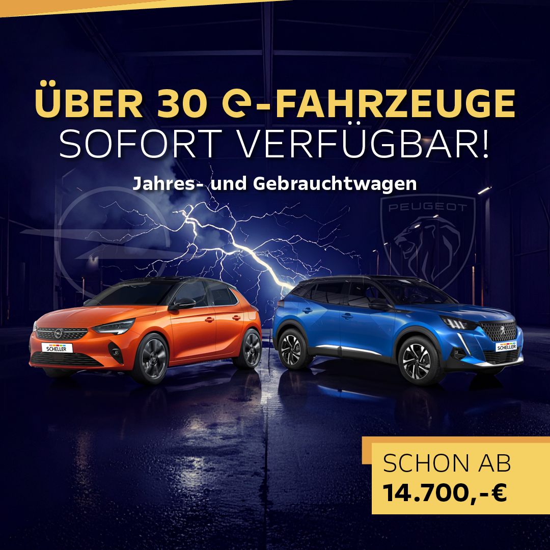 BEITRAGSBILD e-Fahrzeuge Abverkaufsaktion